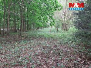 Prodej louky, Bystřice, 682 m2