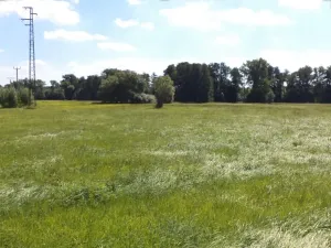 Dražba louky, Mirovice, 1251 m2