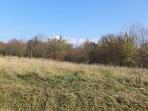 Dražba zahrady, Otrokovice, 503 m2