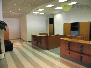 Pronájem obchodního prostoru, Vyškov, Dobrovského, 170 m2
