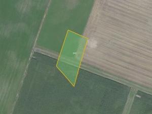 Prodej pole, Jestřabí Lhota, 7028 m2