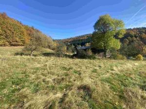 Prodej pole, Zdislava, 1384 m2