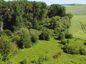 Prodej pole, Bučovice, 3134 m2