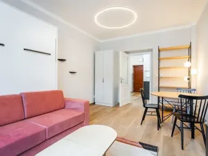 Prodej bytu 1+kk, Praha - Žižkov, Milíčova, 29 m2