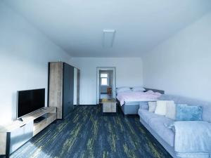 Prodej vícegeneračního domu, Vejprty, 900 m2