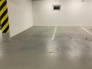 Pronájem garážového stání, Plzeň - Bolevec, U Velkého rybníka, 25 m2