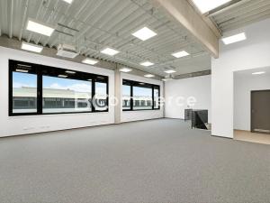 Pronájem výrobních prostor, Brno, Vinohradská, 446 m2