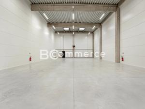 Pronájem výrobních prostor, Brno, Vinohradská, 446 m2