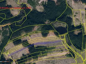 Prodej lesa, Častrov, 5341 m2