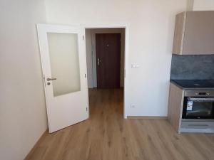 Pronájem bytu 1+kk, Praha - Černý Most, Dobrovolného, 32 m2