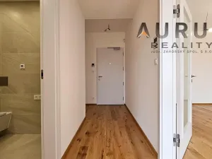 Pronájem bytu 2+kk, Praha - Nusle, Bělehradská, 60 m2