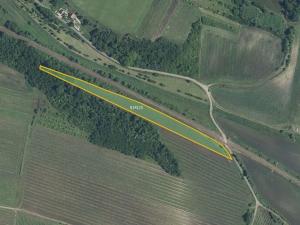 Prodej sadu/vinice, Novosedly, 6655 m2