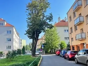 Pronájem bytu 1+kk, Praha - Michle, Na nivách, 28 m2