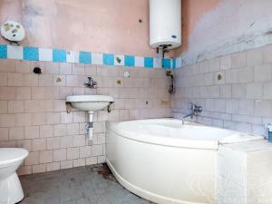 Prodej rodinného domu, Svojetice, Stará cesta, 260 m2