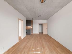 Pronájem bytu 2+kk, Plzeň, Kamenická, 55 m2