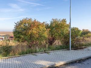 Prodej pozemku pro bydlení, Dřetovice, 919 m2