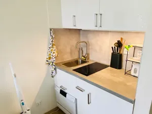 Prodej bytu 1+kk, Praha, Peroutkova, 23 m2