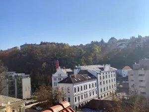 Pronájem bytu 2+kk, Praha - Košíře, Vrchlického, 47 m2