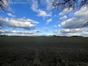 Prodej podílu lesa, Březovice, 36905 m2