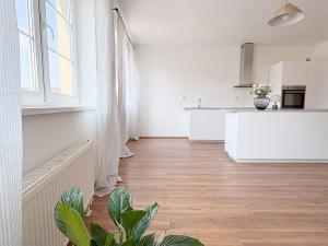 Pronájem bytu 2+kk, Praha - Libeň, Na žertvách, 62 m2