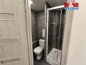 Pronájem bytu 1+1, Ústí nad Labem - Severní Terasa, Oblá, 41 m2