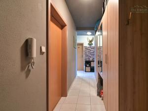 Prodej bytu 2+1, Vejprnice, Jižní Svahy, 70 m2