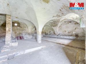 Prodej zemědělské usedlosti, Chotěšov, Starý mlýn, 238 m2