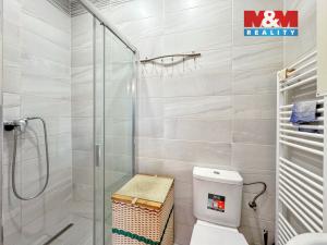 Pronájem bytu 1+kk, Šimonovice - Minkovice, Šimonovická, 20 m2