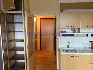 Pronájem bytu 1+kk, České Budějovice, J. Bendy, 32 m2