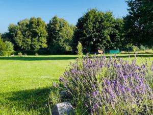 Prodej rodinného domu, Rabí, 320 m2