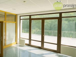 Pronájem obchodního prostoru, Vyškov, Palánek, 43 m2