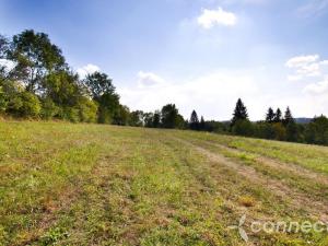 Prodej louky, Samopše, 14836 m2