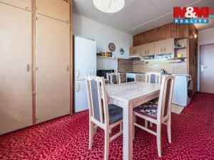 Pronájem bytu 1+1, Žatec, Mládežnická, 39 m2