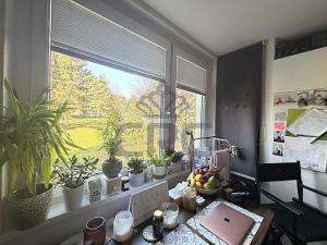 Prodej bytu 1+1, Brno - Kohoutovice, Prokofjevova, 36 m2