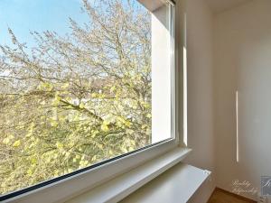 Pronájem bytu 4+1, Ústí nad Labem, SNP, 82 m2