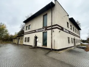 Prodej výrobních prostor, Stříbro, 300 m2