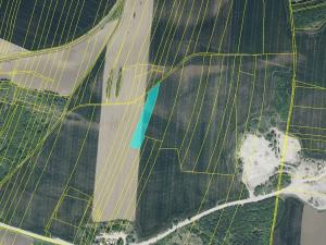 Prodej pole, Černuc, 50127 m2