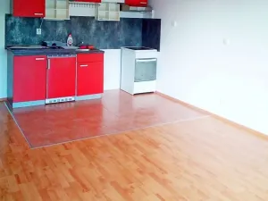 Pronájem bytu 1+kk, Praha - Vysočany, Ocelářská, 41 m2
