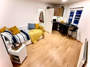 Pronájem bytu 1+kk, Praha - Hostivař, Dolnoměcholupská, 24 m2