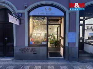 Pronájem obchodního prostoru, Praha - Vinohrady, Francouzská, 24 m2