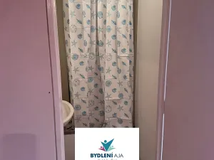 Pronájem bytu 1+kk, Teplice, Přítkovská, 32 m2