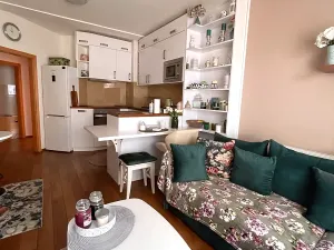 Prodej bytu 2+kk, Brno, Jánošíkova, 49 m2