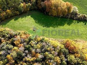 Prodej pozemku, Chotilsko, 16301 m2