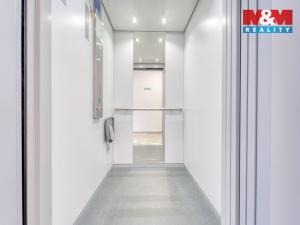 Pronájem bytu 1+kk, Plzeň, Měděná, 35 m2