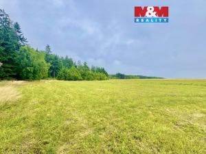 Prodej louky, Buková, 13470 m2