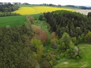 Dražba louky, Křenov, 16180 m2