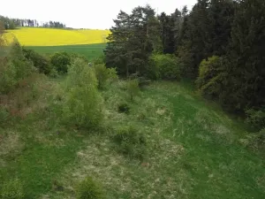 Dražba louky, Křenov, 16180 m2