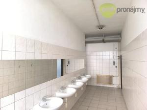 Pronájem skladu, Ostrava, Novoveská, 222 m2