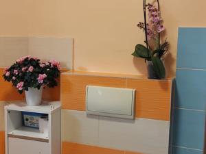 Prodej bytu 3+kk, Bruntál, Nádražní, 143 m2