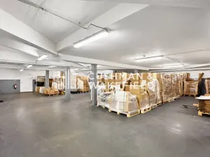 Prodej výrobních prostor, Chodov, U Porcelánky, 5700 m2